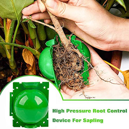 Air layering pods, Reusable Plant Rooting Device Plant Rooting Grow Box High Pressure Propagation Ball Grafting Device Botany Root Controller Garden Plant Rooter Box (Medium(3.1″×6PCS),Green) - color: Green, size: Medium（3.1″×6PCS）