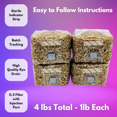 4 x 1lb - Rye Grain Mushroom Spawn Bags, with Injection Ports