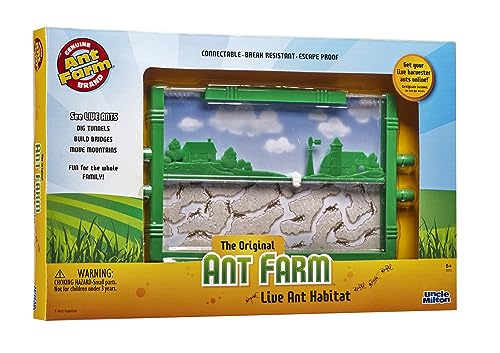 Ant Farm