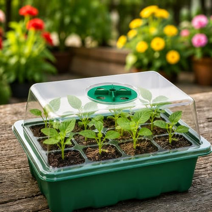 5 Pack Seed Starter Trays with Humidity Dome and Base, 12 Cell Seedling Germination Kit, Adjustable Vent Plant Growing Trays for Indoor Greenhouse, Garden and Hydroponic Seed Starting