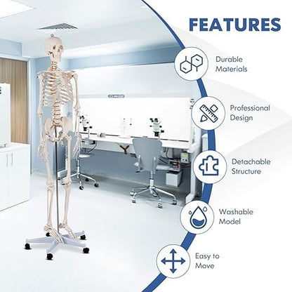 Nightcore 70.8 Foot Human Skeleton Model, Life-Size Skeleton with Rolling Bracket, Medical Model with 2 Caster Brakes, Removable Skeleton with Moving Arms & Legs, Ideal for Anatomy