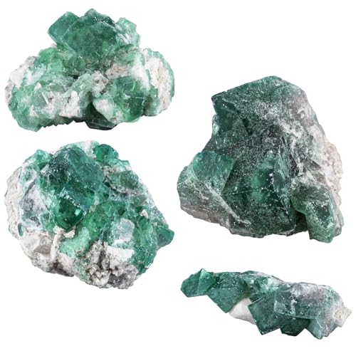 Sportmusies Natural Green Fluorite Crystal Cluster, 1.18-4.13 inches - size: 1.18 - 4.13 Inch