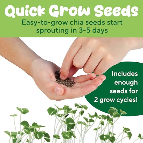 Creativity for Kids Plant-a-Pet Barnyard Pig Kit | Decorate, Plant & Grow Your Own Pet | Chia Seed Gardening Craft | Spring Crafts & Screen-Free Kids Activity (Ages 6+) - style: Chicken