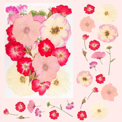 50Pcs Dried Pressed Flowers Real Pressed Flowers Natural Dry Leaves Bulk Mixed Colorful Herbs Kit with Tweezers for Scrapbooking DIY Candle Jewelry Crafts Making Nails (Pink) - color: Pink