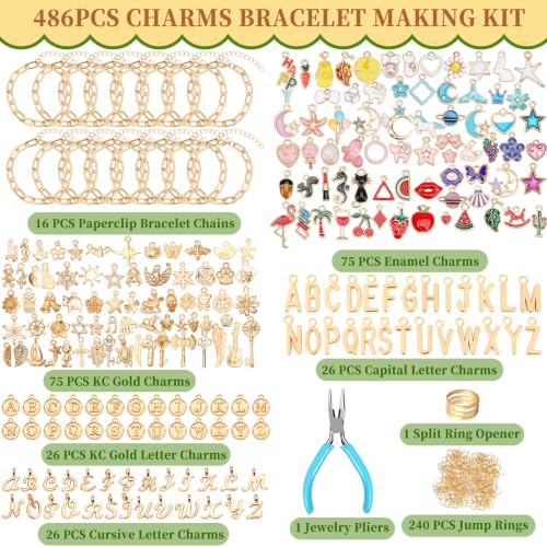 SANNIX 486Pcs Charm Bracelet Making Kit, Including 16 Bangles 228 Charms - color: Gold