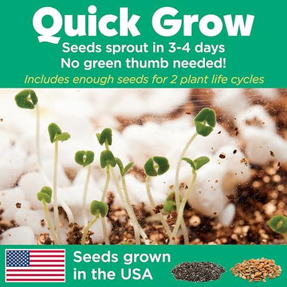 Creativity for Kids Grow 'N Glow Terrarium Kit - Educational Science Kits | Screen Free Summer Fun Activities | Gifts for Boys and Girls | Craft and STEM Projects (Ages 6+) - style: Racoon
