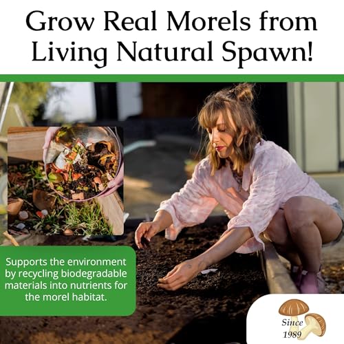 Morel Mushroom Growing Kit (Morchella)