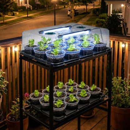 homenote 4 Inch Seed Starter Trays 2 Pack, 12-Cell - size: 4 Inch, style: 2 Pack Tray+Pots+Dome+Grow Light