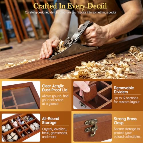 Adjustable Rock Collection Box, Wood Crystal Display Case for Gemstone - color: Brown