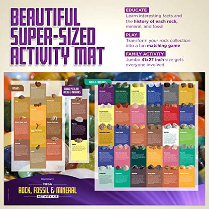 Dan&Darci Rock Collection for Kids - Includes 250+ Bulk Rocks, Gemstones & Crystals + Genuine Fossils and Minerals - 2 Lbs. - Geology Earth Science STEM Toys Activity, Gifts for Boys & Girls Ages 6+