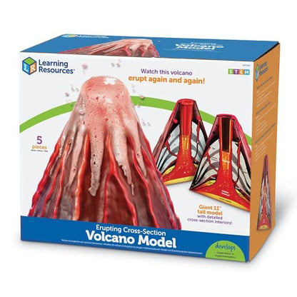 Learning Resources Erupting Cross-Section Volcano Model