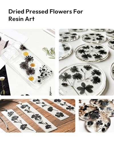 Dried Flowers, Resiners 100Pcs Pressed Flowers for Craft Black Real Natural Dried Flowers Dry Leaves Kit for DIY Making Crafts Resin Soap Candle Scrapbook Supplies Card Making Jewelry - color: Nightfall 100pcs