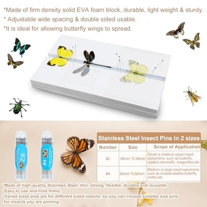 Making Insect Specimen Tools Kit - Insect Pins, Shadow Box, Pinning Board, Wings Pressing Paper, Tweezers, Scissors - Collection Display for Bug Hobbyists/Biology Projects