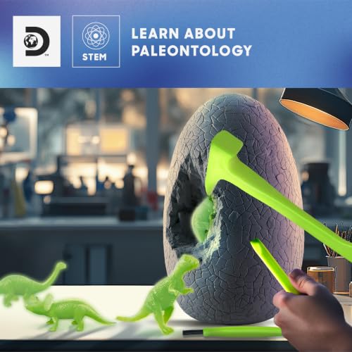 Discovery™ Giant Dino Egg Excavation Kit