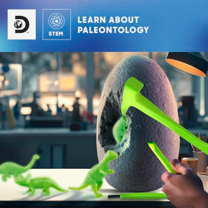 Discovery™ Giant Dino Egg Excavation Kit