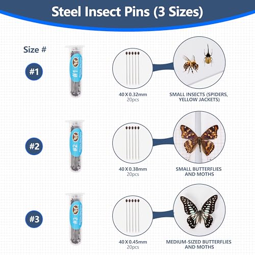 Insect Specimen Tools Kit - EVA Foam Pinning Board, Coordinate Paper, Wings Pressing Paper, Insect Pins & Butterfly Pins, Entomology Kit for Beginners & Hobbyists (PVC Display Case) - size: PVC Display Case Box Kit