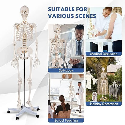 Nightcore 70.8 Foot Human Skeleton Model, Life-Size Skeleton with Rolling Bracket, Medical Model with 2 Caster Brakes, Removable Skeleton with Moving Arms & Legs, Ideal for Anatomy