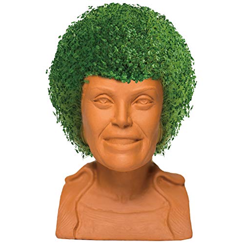 Chia Pet Golden Girls Blanche with Seed Pack, Decorative Pottery Planter, Easy to Do and Fun to Grow, Novelty Gift, Perfect for Any Occasion - style: GG Blanche - Active