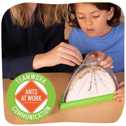 Insect Lore Ant Hill - Ant Habitat with Voucher to Redeem Live Western Harvester Ants - STEM Learning and Education Project for Classrooms or Homeschool