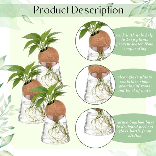 Baderke 3 Pcs 3.15 Inches Glass Plant Propagation Stations with Spherical Lid Glass Jars Plant Propagation Vases Hydroponic Spherical Cork Planter for Indoor Home Office Desktop Decor(Conical) - size: 3.15 Inches, style: Conical
