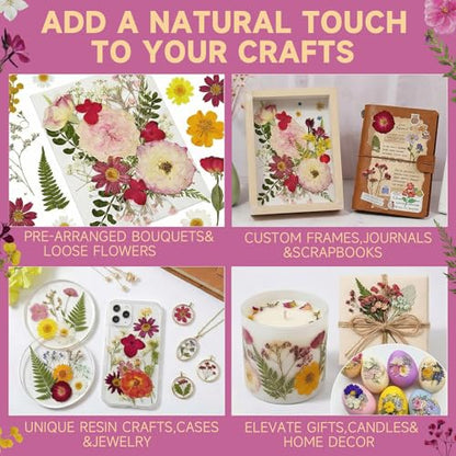 Dried Pressed Flowers for Resin - size: 85 pcs 26-Dried Flowers