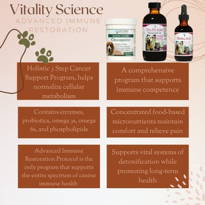 Vitality Science Advanced Immune Restoration Supplements for Dogs | Intense Regeneration Protocol | Helps with Pain Relief (Medium) - size: Medium