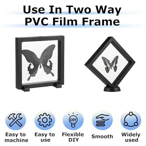 Insect Specimen Tools Kit - EVA Foam Pinning Board, Coordinate Paper, Wings Pressing Paper, Insect Pins & Butterfly Pins, Entomology Kit for Beginners & Hobbyists (PVC Display Case) - size: PVC Display Case Box Kit
