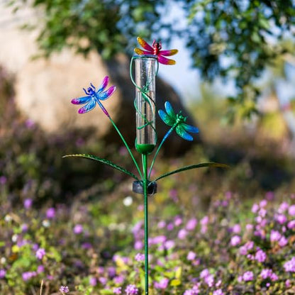 Stargarden Rain Gauge Outdoor, Dragonfly Solar Rain Gauge - color: colorful dragonfly
