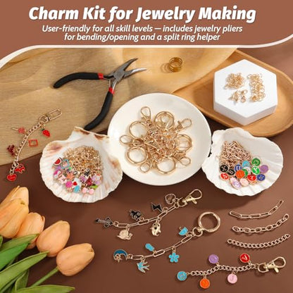 selizo 263Pcs Charms Lip Gloss Keychain Making Kit, DIY Craft Supplies with Charms, Key Chain Hooks, Jump Rings, Lobster Clasps, Chains & Tools, Jewelry Making Kit for Custom Keychains, Bags, Gifts - color: Gold-263Pcs Kit