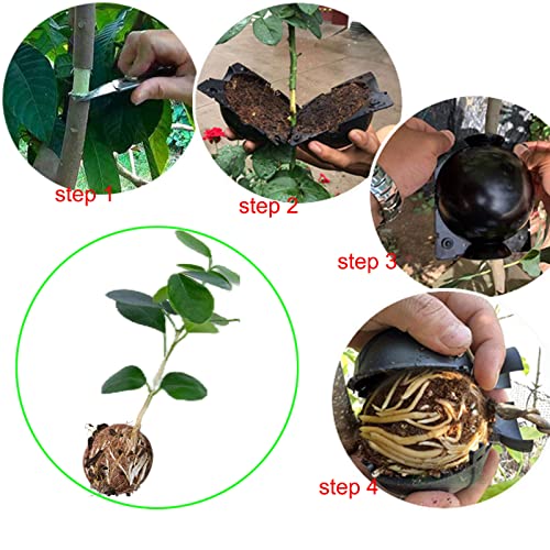 Tree Root Growing Box, Reusable Transparent Plants Asexual Reproduction Grafting Ball, High Pressure Air Layering Pods Propagation Kit (10pcs Meidum) - color: Black-m-10pack