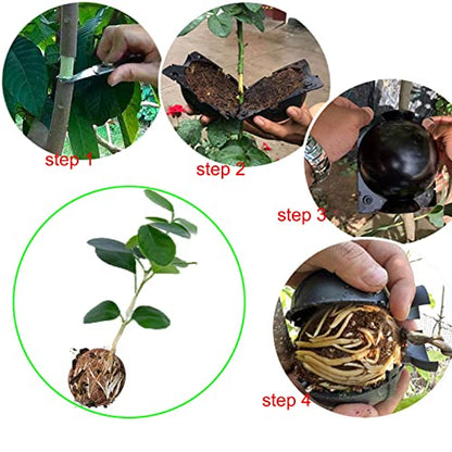 Tree Root Growing Box, Reusable Transparent Plants Asexual Reproduction Grafting Ball, High Pressure Air Layering Pods Propagation Kit (20pcs Small) - color: White-s-20pack