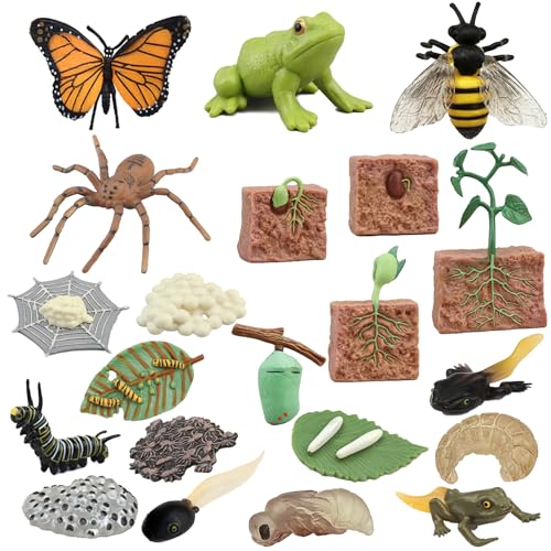 Mbrain 4pcs Bee Growth Cycle with Flash Cards,Life Cycle Learning & Education Toys,Montessori Toys,Gift for Girl & Boy for 3 4 5 6 7 Year Old (Bee) - color: Bee
