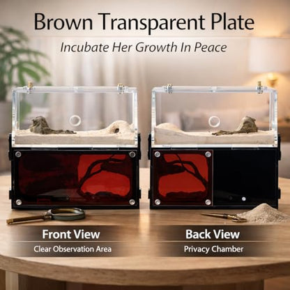 Strata Series - DualView M Ant Nest with Starter kit - size: DualView M
