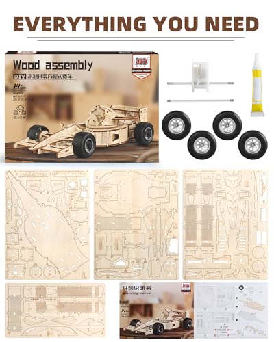 3D Wooden Puzzles for Adults, Formula 1 Racing Car Kit 66pcs