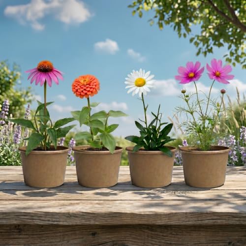 Buzzy Seeds Save the Bees Wildflower Grow Kit 12-Pack, Pollinator Friendly