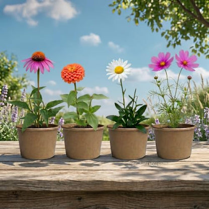 Buzzy Seeds Save the Bees Wildflower Grow Kit 12-Pack, Pollinator Friendly