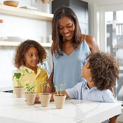 Back to the Roots Kids Science Grow Kit - 2 pk Bean and Watermelon - style: Bean and Watermelon Kit