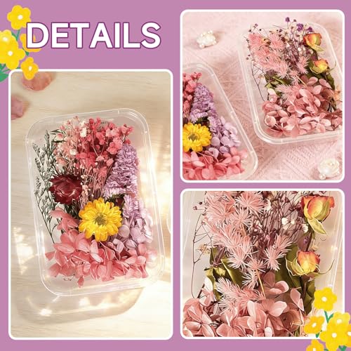2PCS Dried Flowers Kit, Natural Dried Flowers Kit for DIY Crafts, Scrapbook, Card Making (Style15_28) - color: Style15_28