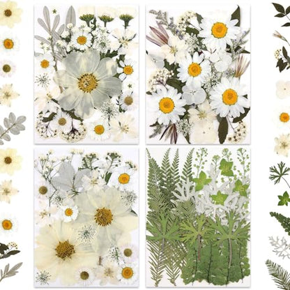LUXEEASE 100P White Foliage Mix Dried Pressed Flowers - color: Pure White 100p