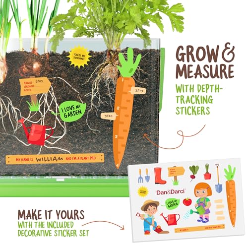 Root Viewer Kit for Kids - Grow Your Own Plant for Boys & Girls Gifts