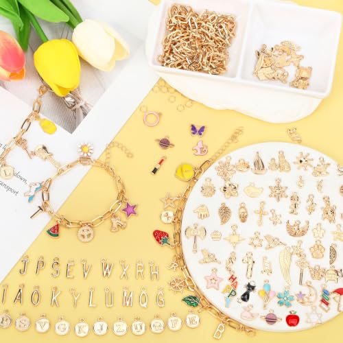 SANNIX 486Pcs Charm Bracelet Making Kit, Including 16 Bangles 228 Charms - color: Gold