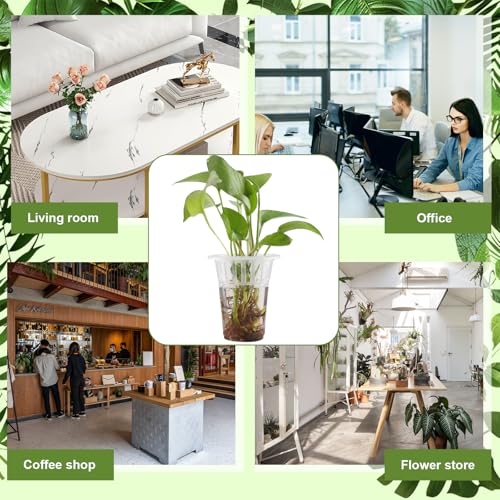 50 Pack Plastic Nursery Pots for Plants Terrarium Plant Propagation Station Tabletop Planting Vase with Hydroponic Baskets 4.5 In Clear Hydroponic Seed Pots for Indoor Plants Home Office Desktop Decor