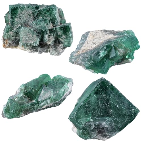 Sportmusies Natural Green Fluorite Crystal Cluster, 0.98-2.95 inches - size: 0.98 - 2.95 Inch