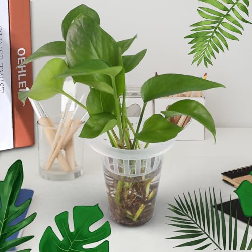 50 Pack Plastic Nursery Pots for Plants Terrarium Plant Propagation Station Tabletop Planting Vase with Hydroponic Baskets 4.5 In Clear Hydroponic Seed Pots for Indoor Plants Home Office Desktop Decor