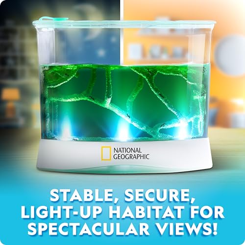 National Geographic Light-Up Ant Habitat Kit for Kids with Magnifiers - style: Ant Habitat
