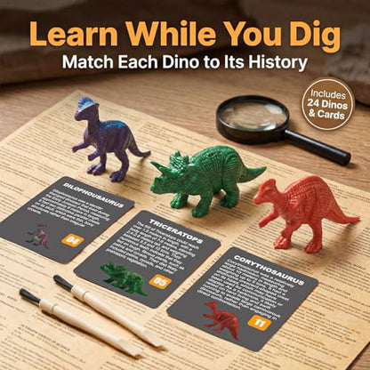 24 Pack Colorful Dinosaur Eggs, Excavation Kit with Learning Cards - style: 24 Dinosaur Eggs(Colorful)