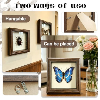 18Pcs Insect Pinning Kit, Beginner Entomology Kit with Tracing Paper, Tweezers, Scissors, Picture Frame, Insect Pins, Butterfly Pins and Foam Pinning Board.