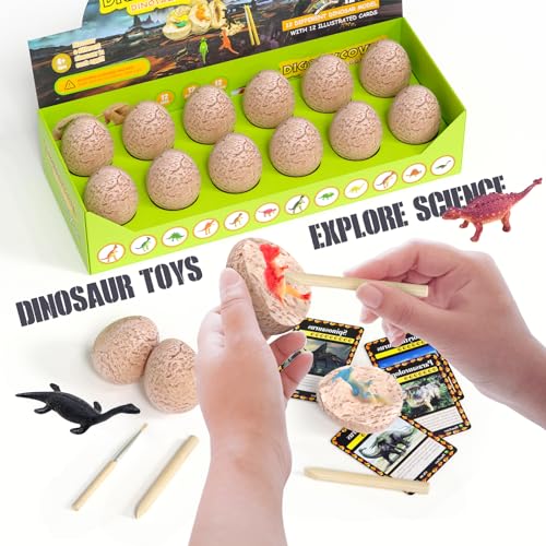 Dinosaur Eggs-Dig a Dozen Dino Egg Kit for Kids - Dinosaur Toys Gift for Boys 3-12 Year Old -12 Dino Eggs Dig Excavation Kit- Stocking Stuffers STEM Activities-Party Gifts for Boys & Girls
