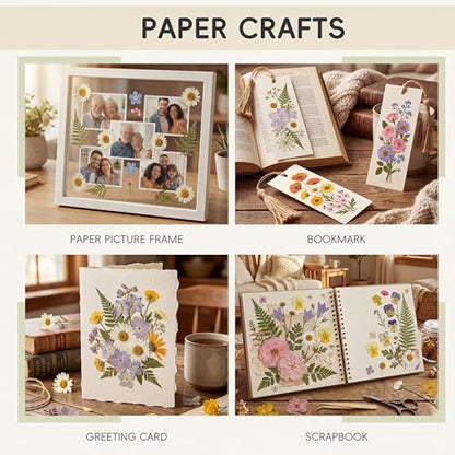 LUXEEASE 4 Color 110P Long Stem Dried Pressed Flowers - color: 4-color Long Stem 110p