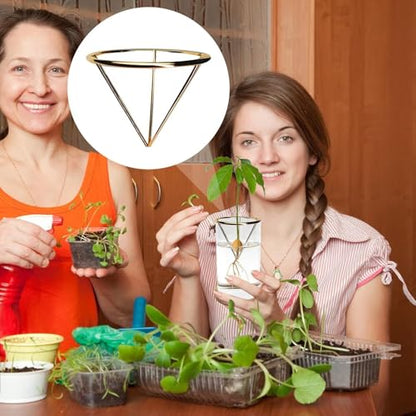 Avocado Starter Rack - Triangular Root Germination Bracket | Avocado Root Propagation Rack,for Home Landscape Garden Living Room Bedroom Balcony Backyard Patio Greenhouse - color: Gold